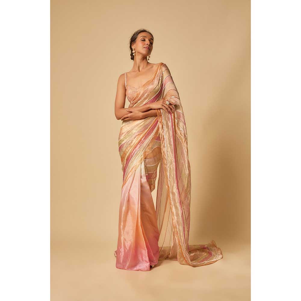 Masumi Mewawalla Multi Colour Embroidered Tissue Pre Draped Saree and Stitched Blouse