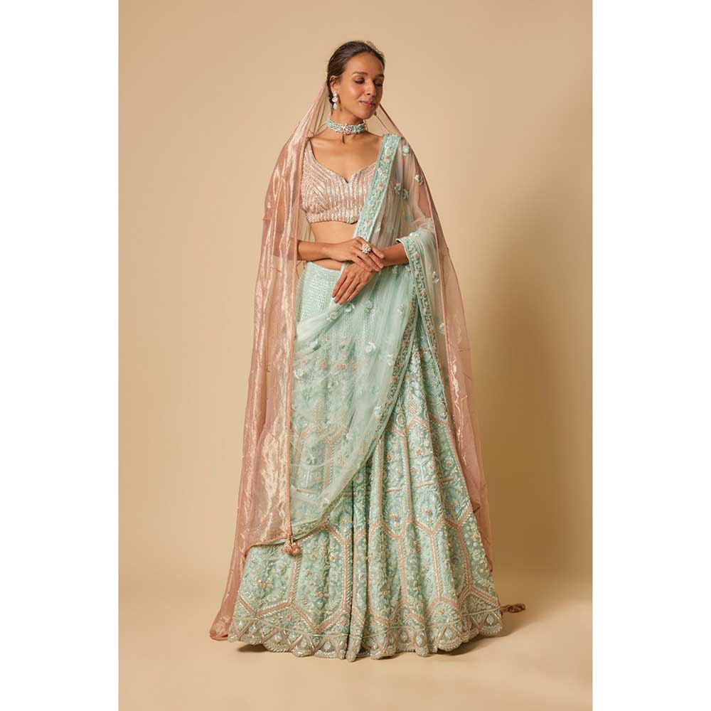 Masumi Mewawalla Embroidered Lehenga with Stitched Blouse and Two Dupatta (Set of 4)