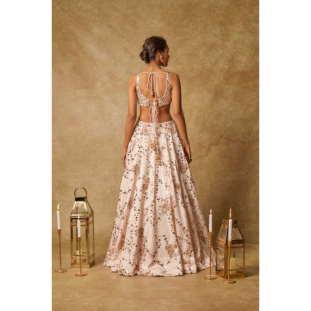 Masumi Mewawalla Sequin Embroidered Lehenga with Stitched Blouse and Dupatta (Set of 3)