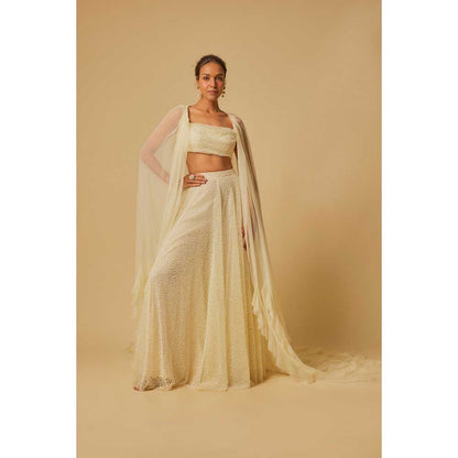 Masumi Mewawalla Yellow Embroidered Sharara with Blouse and Ruffle Cape (Set of 3)