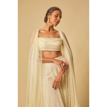 Masumi Mewawalla Yellow Embroidered Sharara with Blouse and Ruffle Cape (Set of 3)