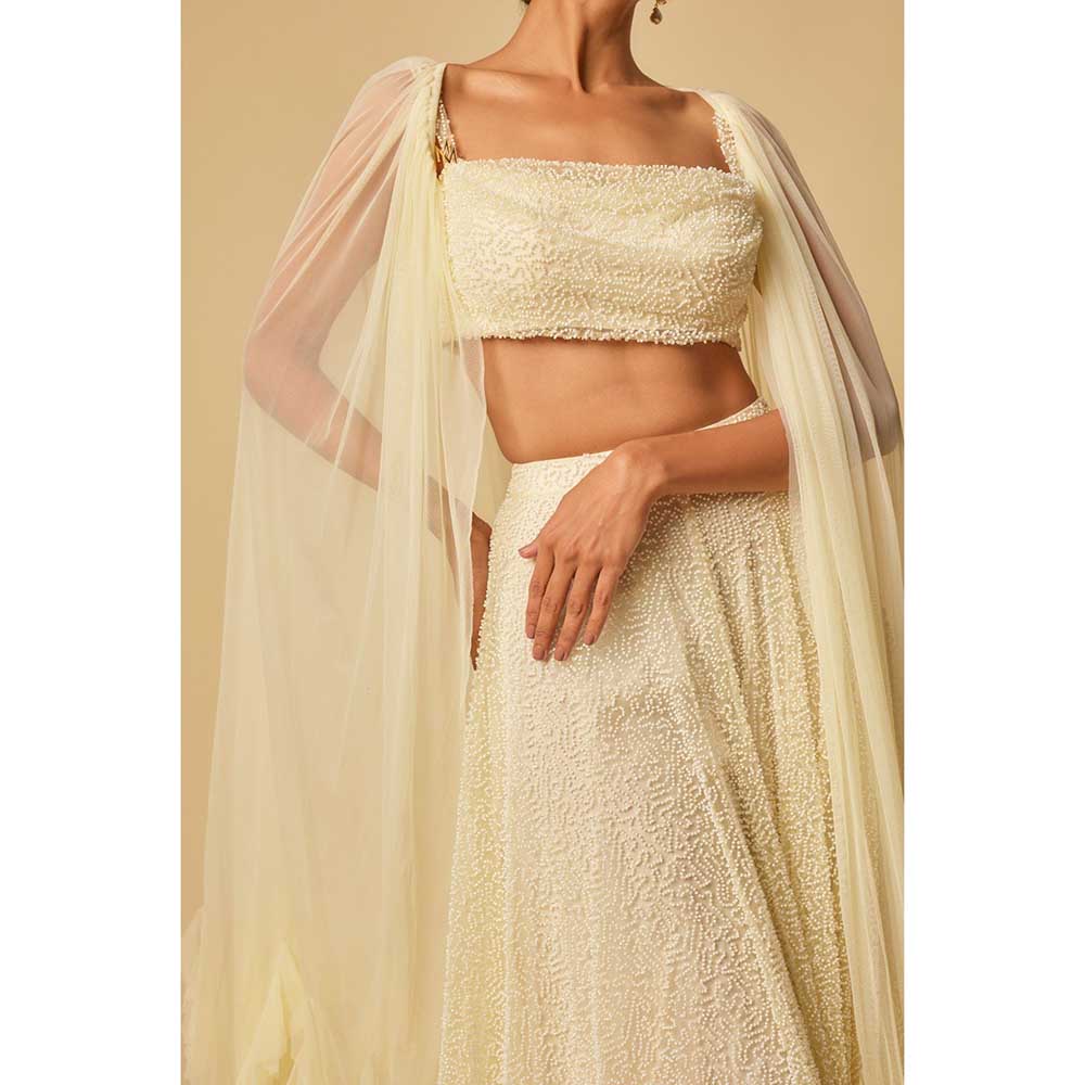 Masumi Mewawalla Yellow Embroidered Sharara with Blouse and Ruffle Cape (Set of 3)