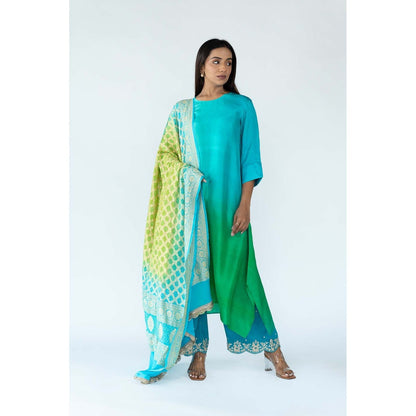 Meghna Panchmatia Green Peacock Ombre Kurta with Bandhej Dupatta (Set of 2)