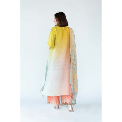 Meghna Panchmatia Yellow Ombre Kurta with Bandhej Dupatta (Set of 2)