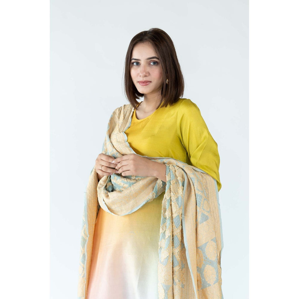 Meghna Panchmatia Yellow Ombre Kurta with Bandhej Dupatta (Set of 2)