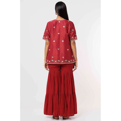 MEHAK MURPANA Raspberry Kurta and Sharara with Dupatta (Set of 3)