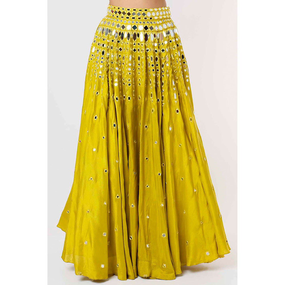 MEHAK MURPANA Lime Green Mirror Lehenga with Blouse and Dupatta (Set of 3)