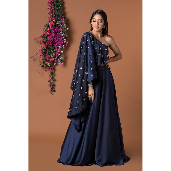 MEHAK MURPANA Navy Blue Lehenga with Crop Top (Set of 2)