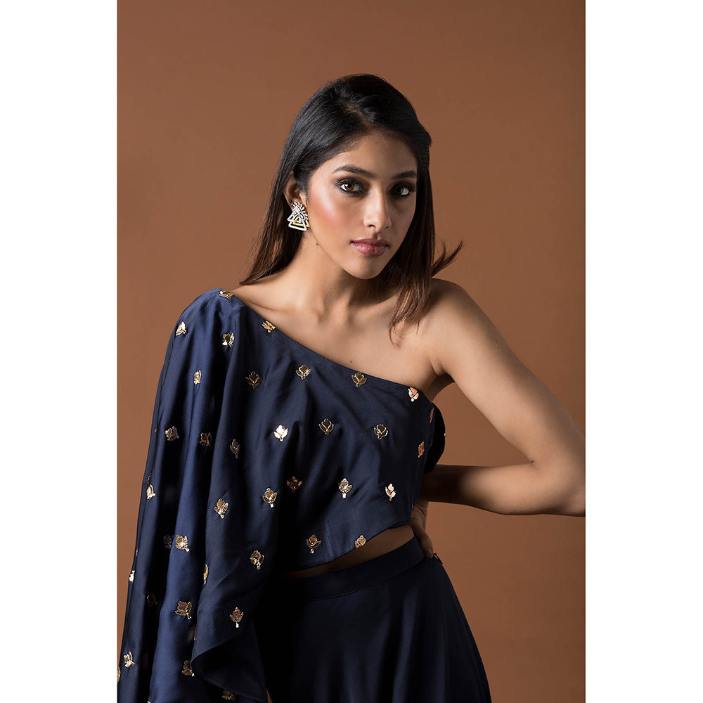 MEHAK MURPANA Navy Blue Lehenga with Crop Top (Set of 2)