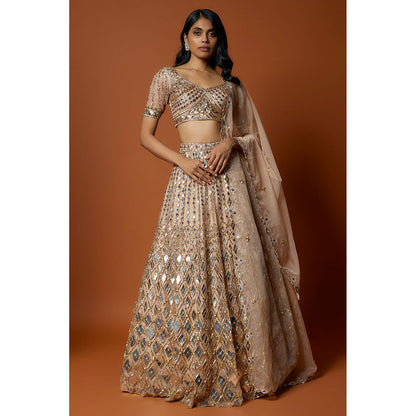 MEHAK MURPANA Gold Embroidered Lehenga with Stitched Blouse And Dupatta (Set of 3)