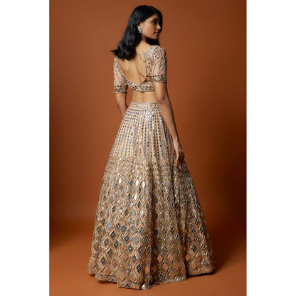 MEHAK MURPANA Gold Embroidered Lehenga with Stitched Blouse And Dupatta (Set of 3)