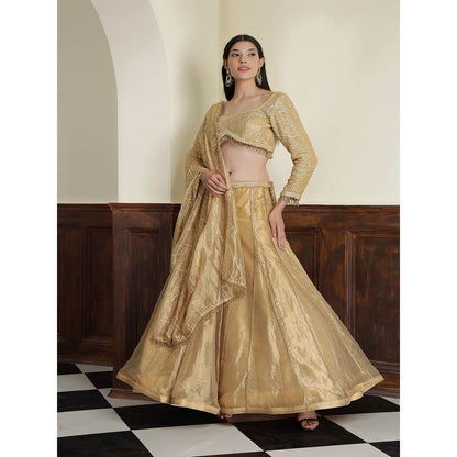 MILU MADAN Gold Tissue Sequins Cut dana Work Blouse with Lehenga and Dupatta