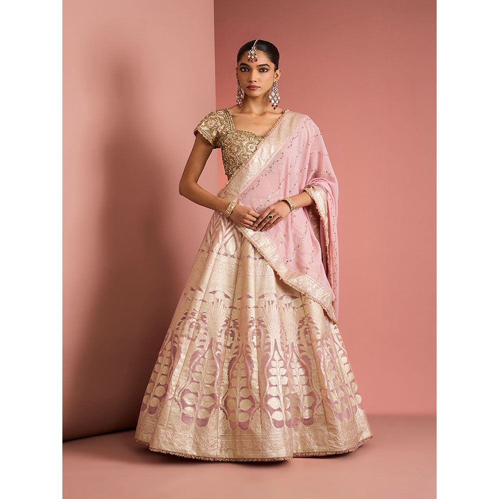 MILU MADAN Womens Organza Sequined Embroidered Pink Lehenga with Stitched Blouse and Dupatta