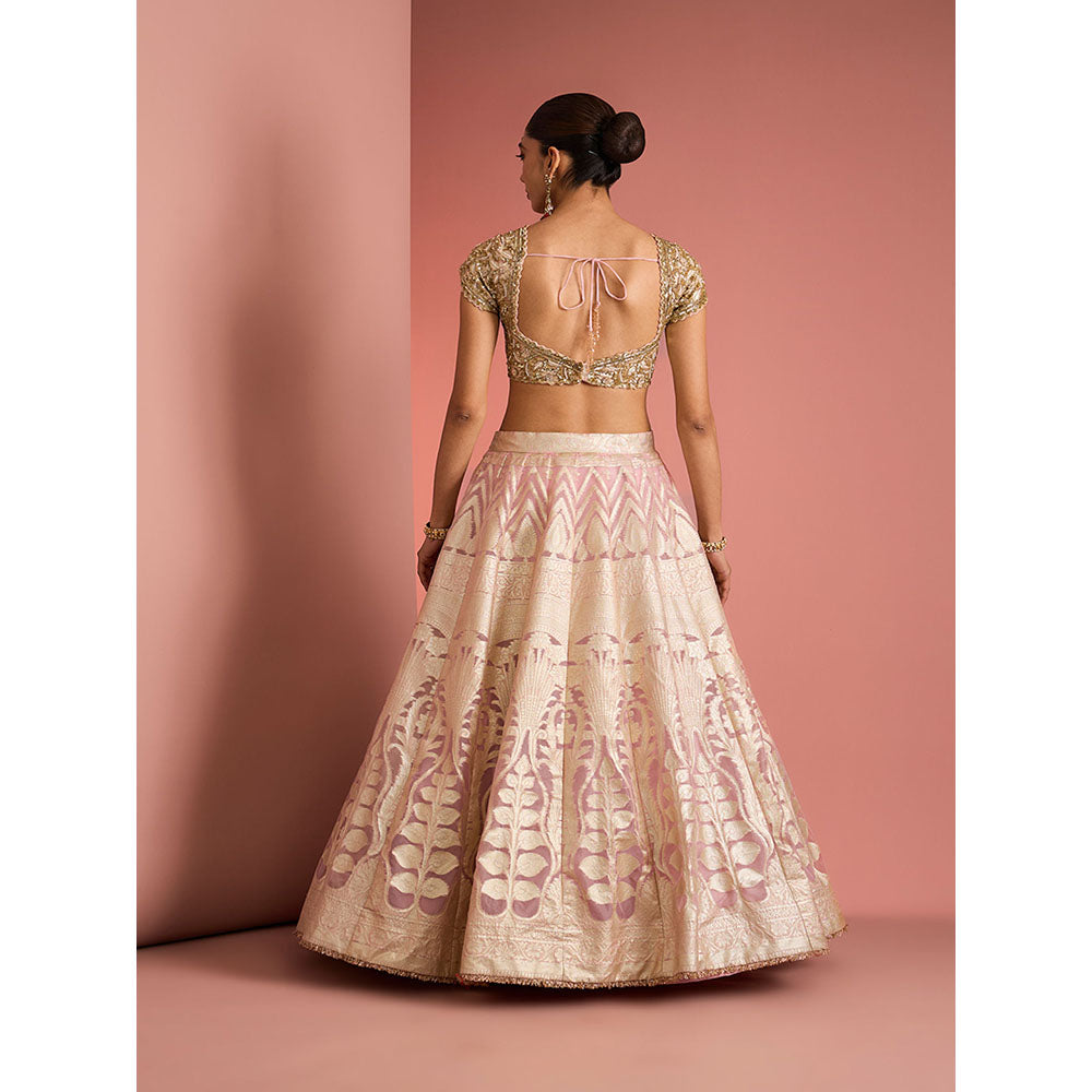 MILU MADAN Womens Organza Sequined Embroidered Pink Lehenga with Stitched Blouse and Dupatta