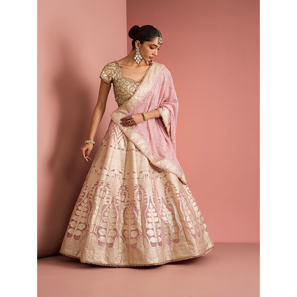 MILU MADAN Womens Organza Sequined Embroidered Pink Lehenga with Stitched Blouse and Dupatta