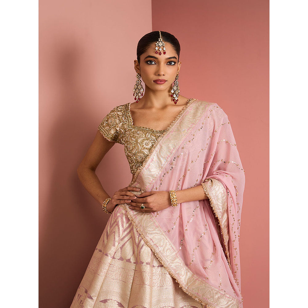 MILU MADAN Womens Organza Sequined Embroidered Pink Lehenga with Stitched Blouse and Dupatta