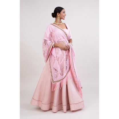 Monika Mathuria Datta Pink Embroidered Stitched Blouse with Lehenga and Dupatta (Set of 3)