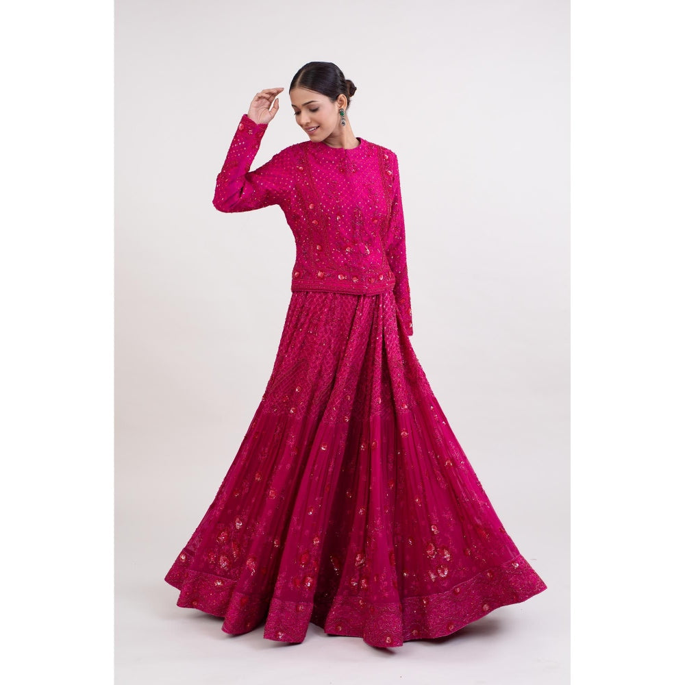 Monika Mathuria Datta Magenta Pink Embroidered Top with Skirt (Set of 2)