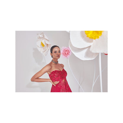 Muskan Aggarwal Nurvi Pink Embellished Top and Lehenga (Set of 2)