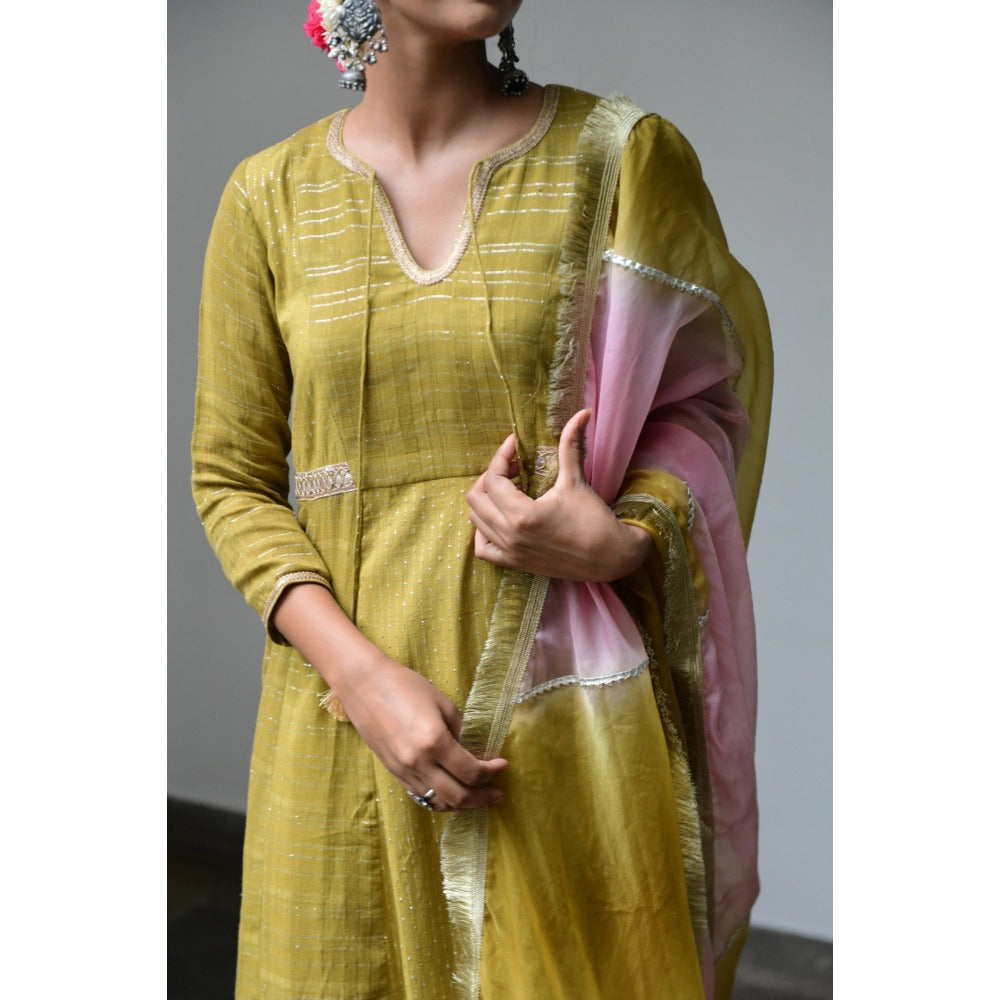 Myaara Olive Lehariya Set (Set of 3)