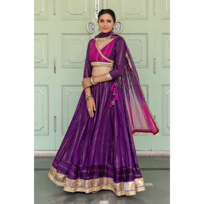 Myaara Jaamuni Lehenga Set (Set of 3)