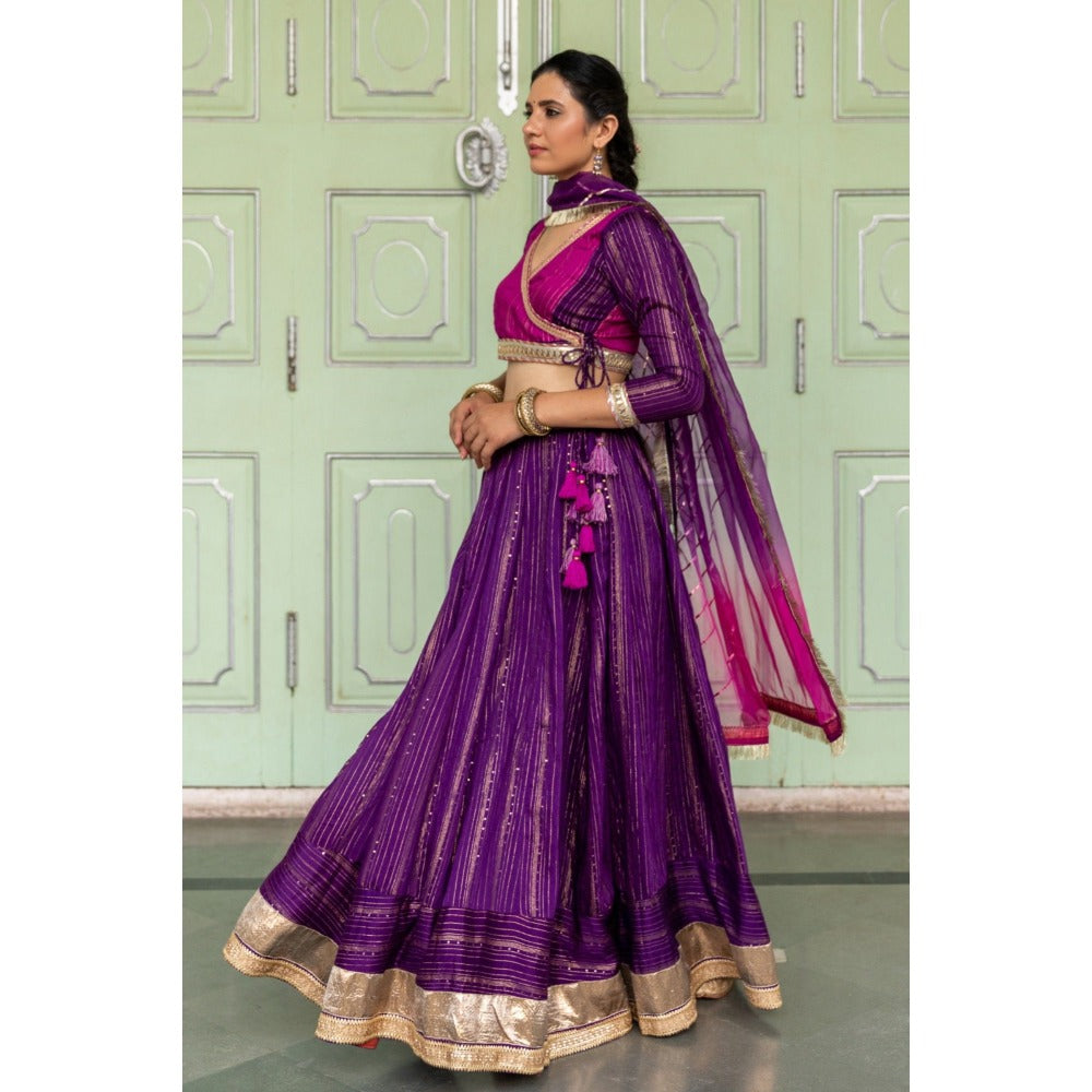 Myaara Jaamuni Lehenga Set (Set of 3)