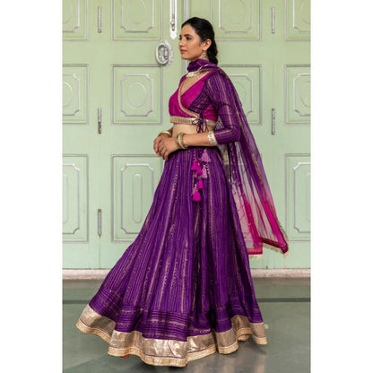Myaara Jaamuni Lehenga Set (Set of 3)