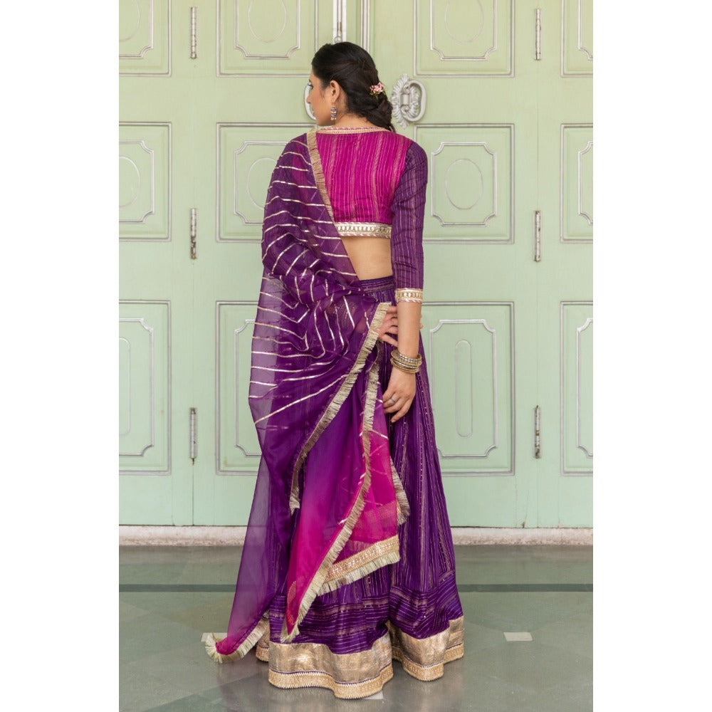 Myaara Jaamuni Lehenga Set (Set of 3)