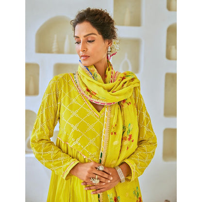 Myaara Lemon Green Flared Anarkali with Pant Tissue Chanderi Dupatta (Set of 3)