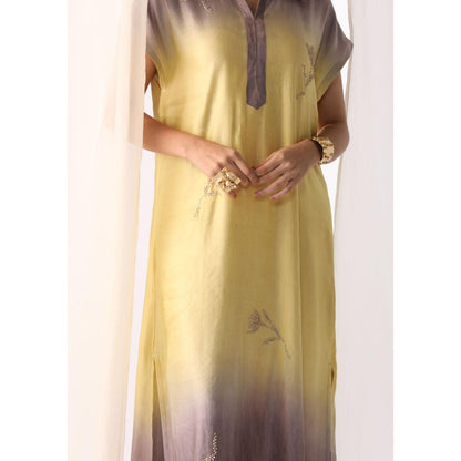 Myoho Ombre Hand Embroidered Maxi Dress