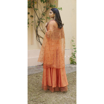 Naaz By Noor Kikli Orange Embroidered Crop Top with Palazzo and Dupatta (Set of 3)