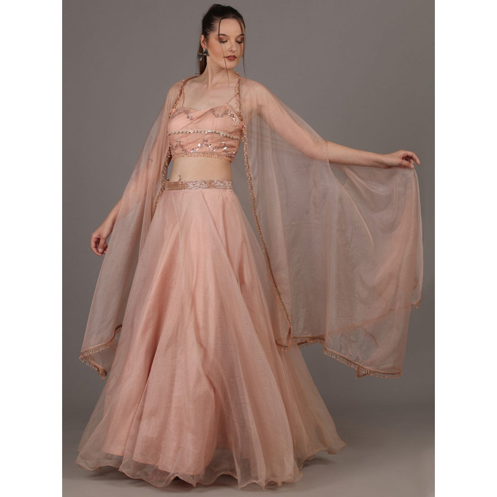 NAMAH BY PARUL MONGIA Nude Embroidered Lehenga with Choli & Dupatta (Set of 3)
