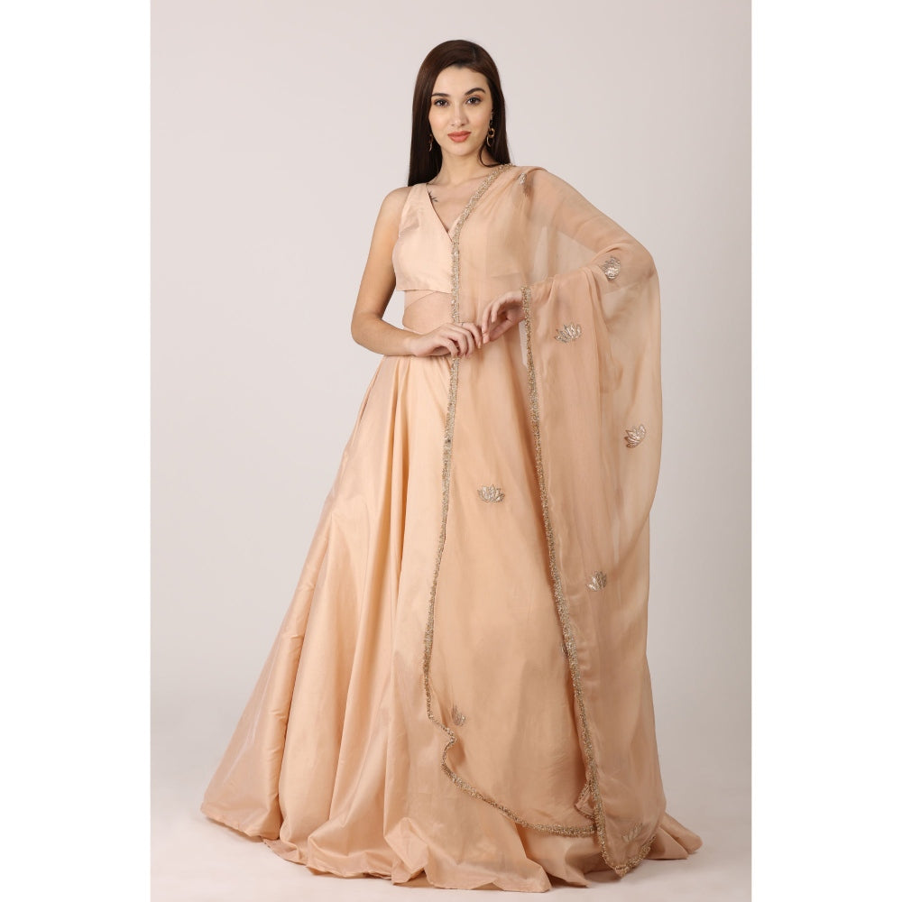 NAMAH BY PARUL MONGIA Beige Salmon Solid Blouse with Lehenga and Dupatta (Set of 3)