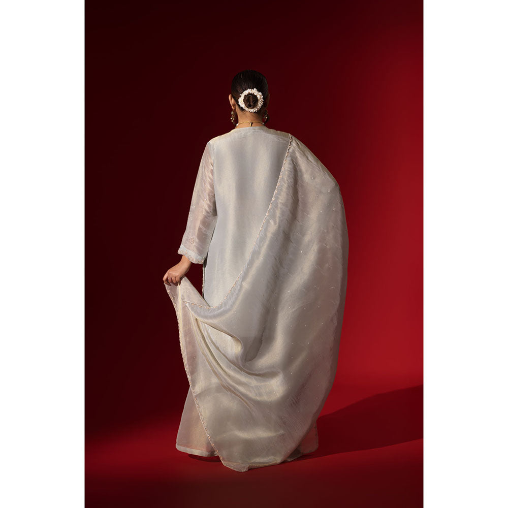 Naseebo Silver Haze Grey Embroidered Kurta with Palazzo & Dupatta