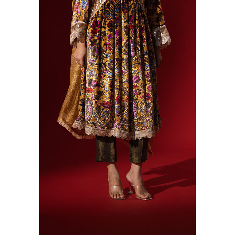 Naseebo Ochre Regal Printed Velvet Anarkali with Pant & Dupatta