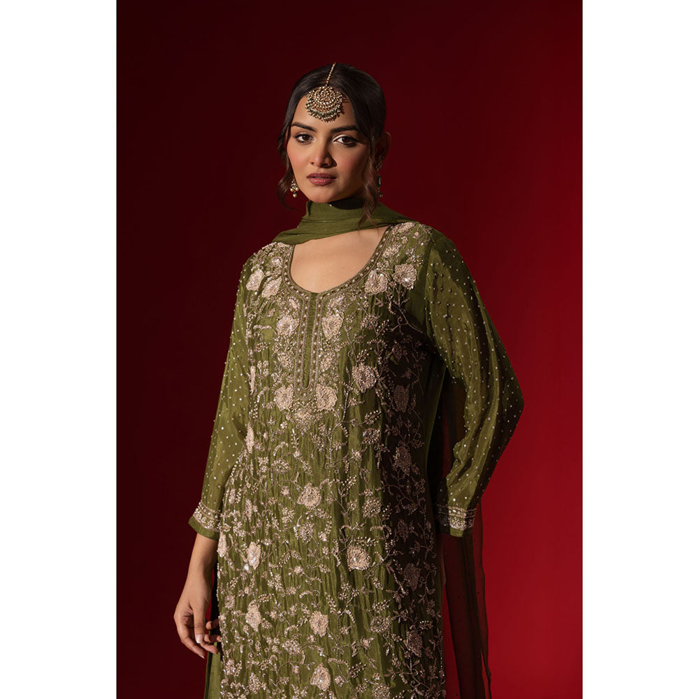 Naseebo Green Sunny Flare Kurta with Palazzo & Dupatta