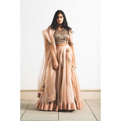Neelu Sethi Organza Lehenga And Dupatta With Embroidered Blouse (Set of 3)