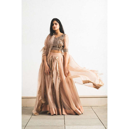 Neelu Sethi Organza Lehenga And Dupatta With Embroidered Blouse (Set of 3)