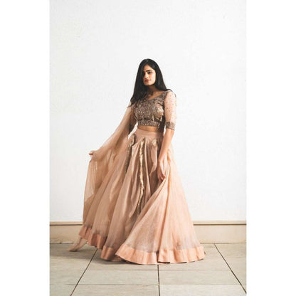 Neelu Sethi Organza Lehenga And Dupatta With Embroidered Blouse (Set of 3)