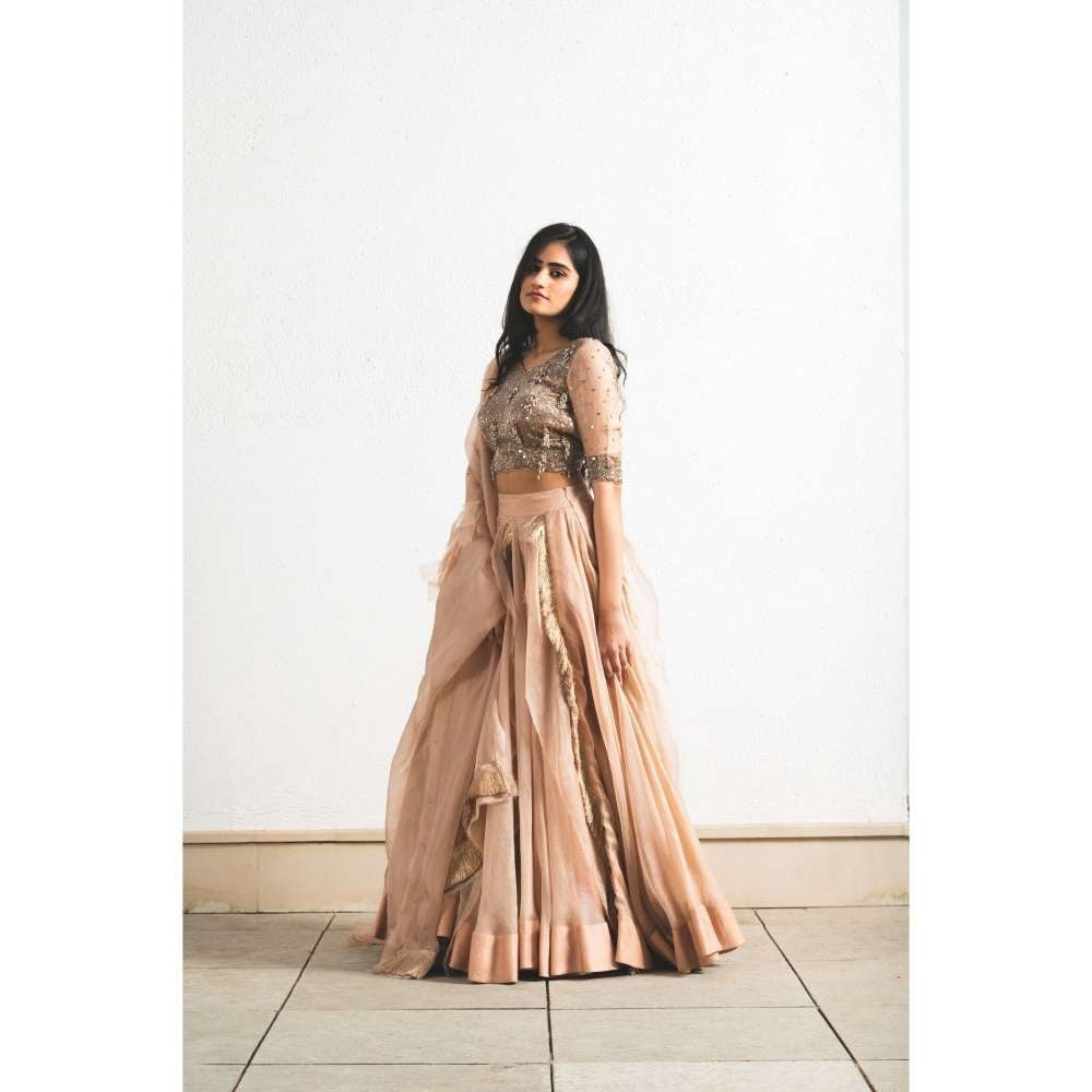 Neelu Sethi Organza Lehenga And Dupatta With Embroidered Blouse (Set of 3)