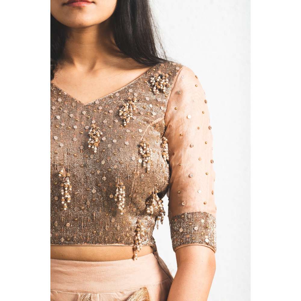 Neelu Sethi Organza Lehenga And Dupatta With Embroidered Blouse (Set of 3)