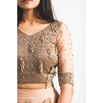 Neelu Sethi Organza Lehenga And Dupatta With Embroidered Blouse (Set of 3)