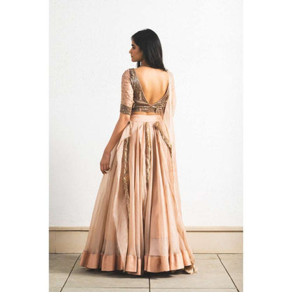 Neelu Sethi Organza Lehenga And Dupatta With Embroidered Blouse (Set of 3)