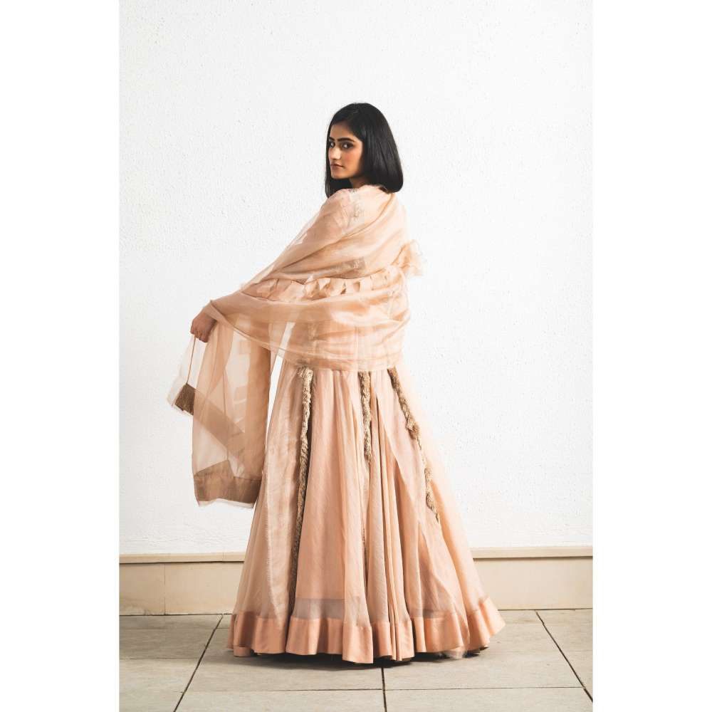 Neelu Sethi Organza Lehenga And Dupatta With Embroidered Blouse (Set of 3)