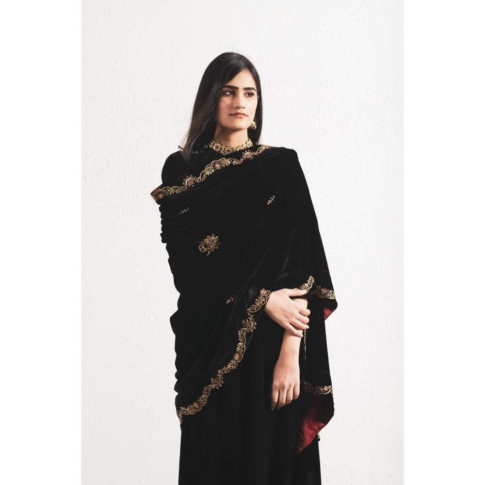 Neelu Sethi Velvet Hand Embroidered Kurta and Pant with Dupatta (Set of 3)