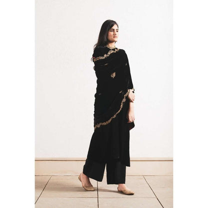 Neelu Sethi Velvet Hand Embroidered Kurta and Pant with Dupatta (Set of 3)