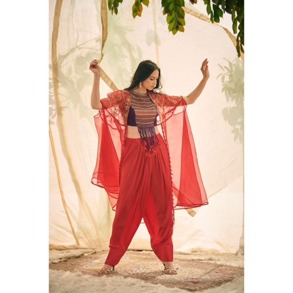Neelu Sethi Embroidered Blouse And Salwar with Organza Cape (Set of 3)