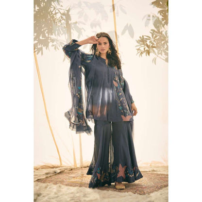Neelu Sethi Organza Patch Work And Embroidered Peplum Top and Garara with Dupatta (Set of 3)