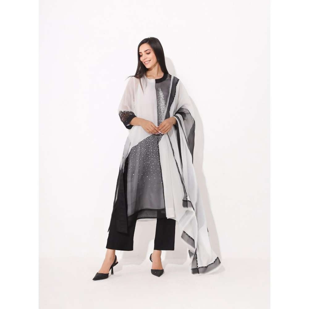 Neelu Sethi Black & White Organza Embroidered Kurta and Pant With Dupatta (Set of 3)