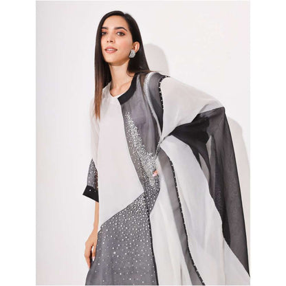 Neelu Sethi Black & White Organza Embroidered Kurta and Pant With Dupatta (Set of 3)